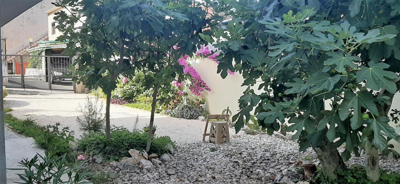 טרוגיר Apartments Figos מראה חיצוני תמונה